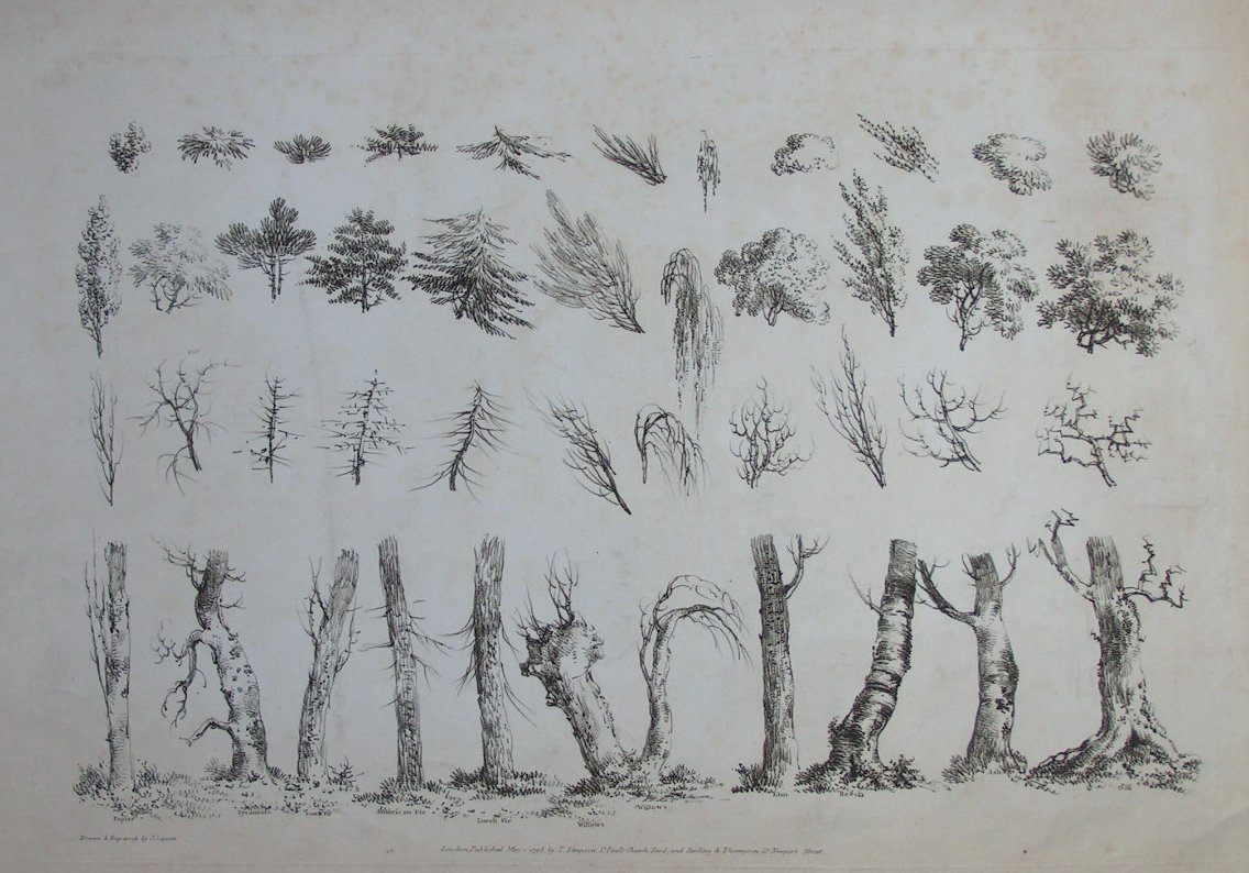 Print - (Trees - details of trunks and foliage) - Laporte